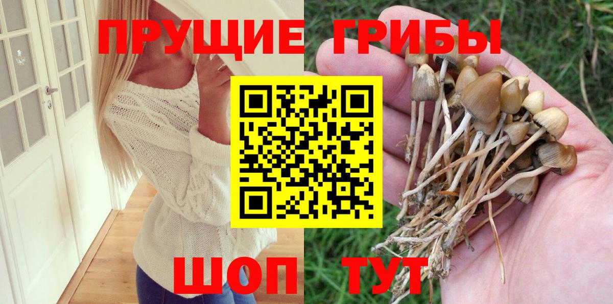Псилоцибиновые грибы Magic Shrooms Уварово